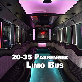 lansing party bus rental